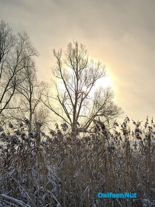 Nieuwe dag, nieuwe sneeuwfoto’s Dag 2 map 1 - Foto: Ingezonden foto