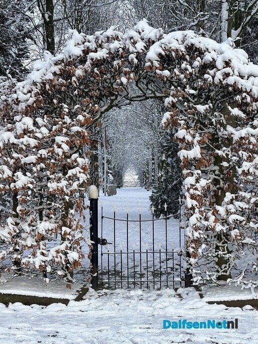 Nieuwe dag, nieuwe sneeuwfoto’s Dag 2 map 1 - Foto: Ingezonden foto