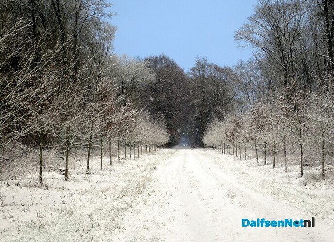 Mooi winters rondje vanaf Hoonhorst - Foto: Wim