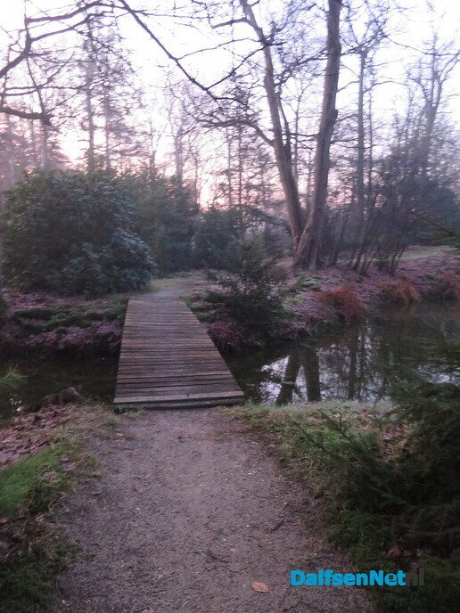 Vroege wandeling Hoonhorst/ Kogelvanger met zon? - Foto: Wim