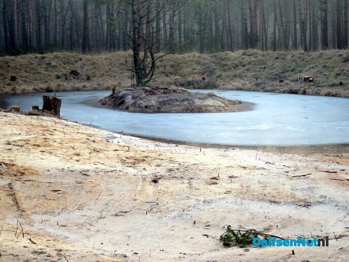 Vroege wandeling Hoonhorst/ Kogelvanger met zon? - Foto: Wim