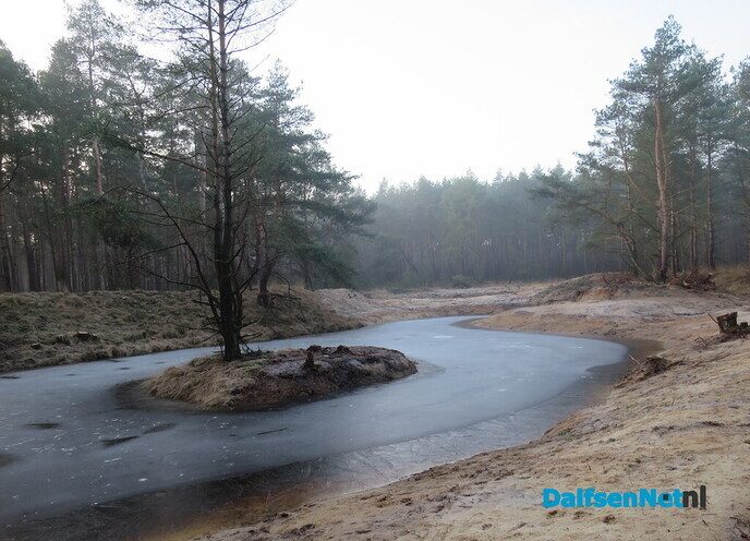 Vroege wandeling Hoonhorst/ Kogelvanger met zon? - Foto: Wim