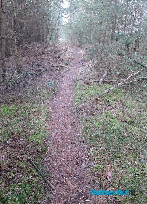 Vroege wandeling Hoonhorst/ Kogelvanger met zon? - Foto: Wim