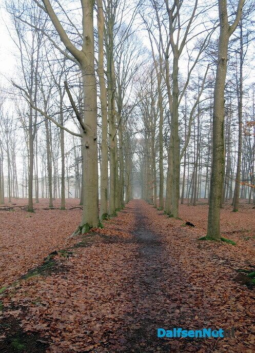 Vroege wandeling Hoonhorst/ Kogelvanger met zon? - Foto: Wim