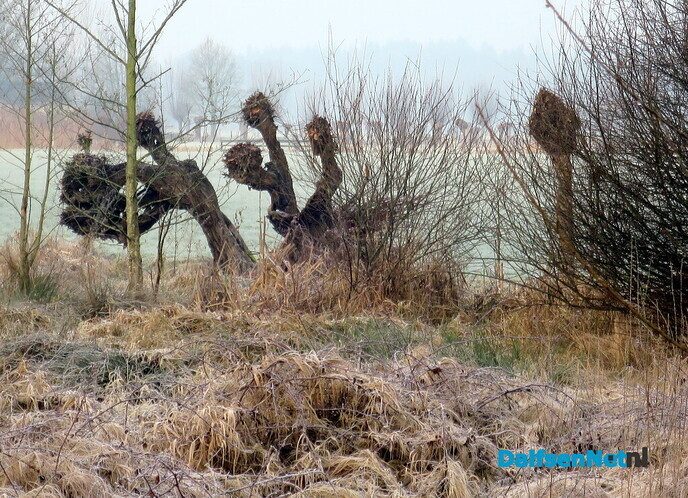 Vroege wandeling Hoonhorst/ Kogelvanger met zon? - Foto: Wim