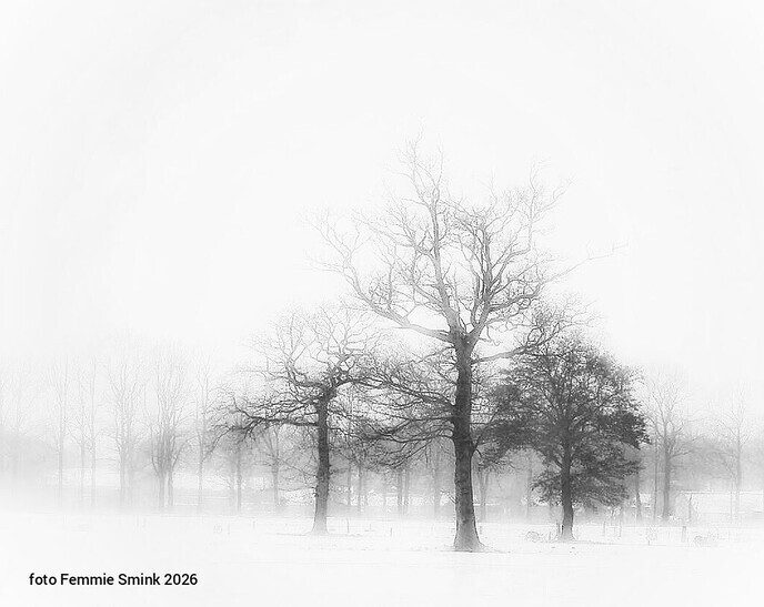 Een nieuw overlijdensbericht