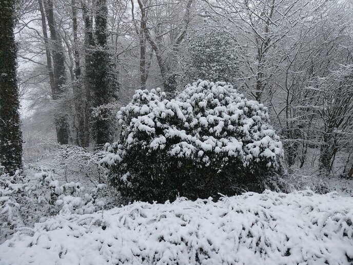 Prachtig: de sneeuwfoto’s (map1 dag 1) foto’s hagelen binnen (update) - Foto: Ingezonden foto