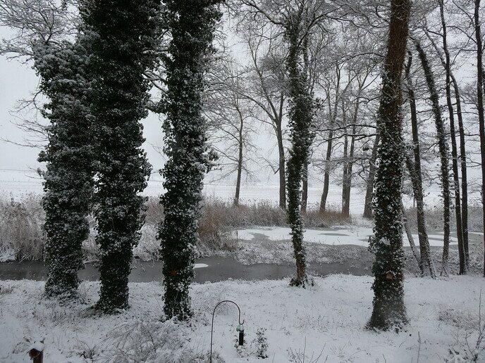 Prachtig: de sneeuwfoto’s (map1 dag 1) foto’s hagelen binnen (update) - Foto: Ingezonden foto