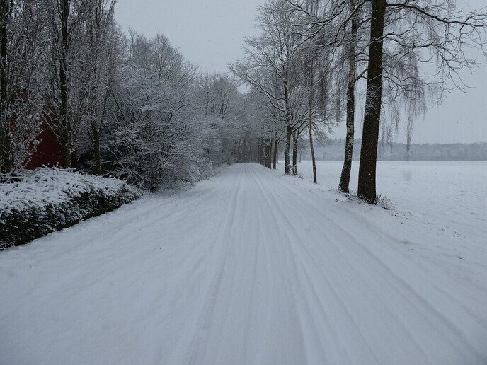 Prachtig: de sneeuwfoto’s (map1 dag 1) foto’s hagelen binnen (update) - Foto: Ingezonden foto