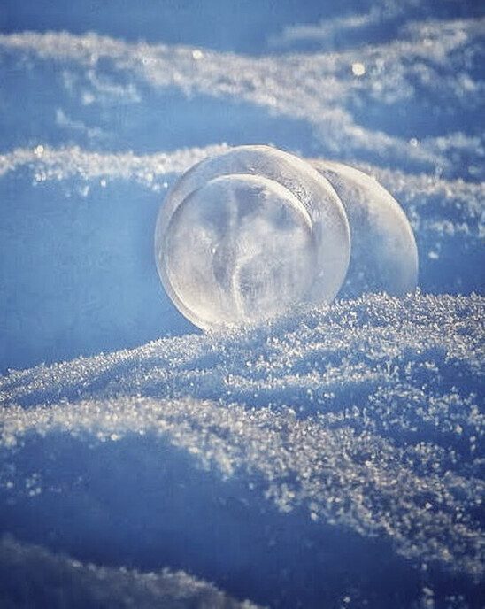 Femmie is nog niet ingesneeuwd - Foto: Femmie Smink