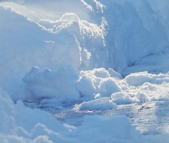 Femmie is nog niet ingesneeuwd - Foto: Femmie Smink