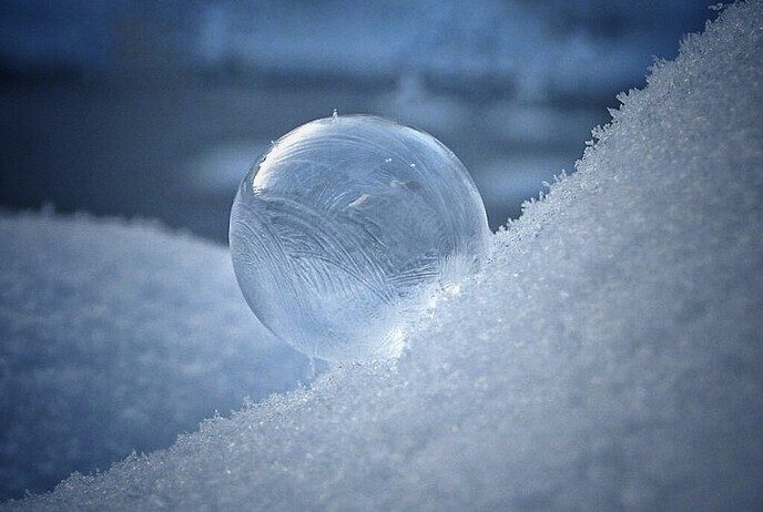 Femmie is nog niet ingesneeuwd - Foto: Femmie Smink