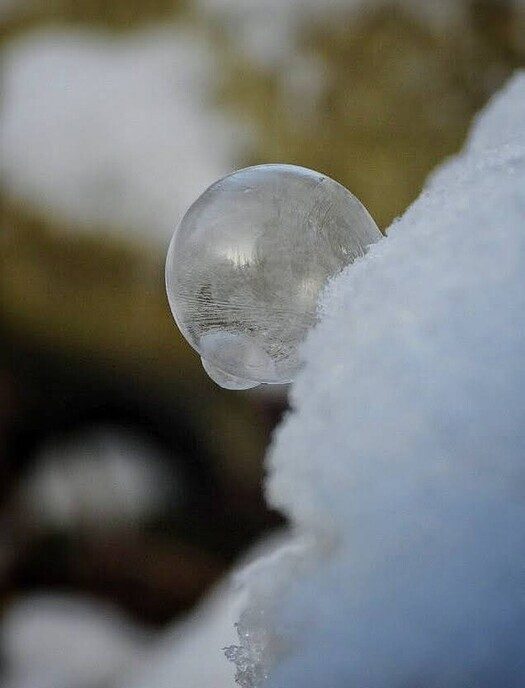 Ook bij Bijkersplas, Brouwersgat in Vinkenbuurt had het gesneeuwd - Foto: Femmie Smink