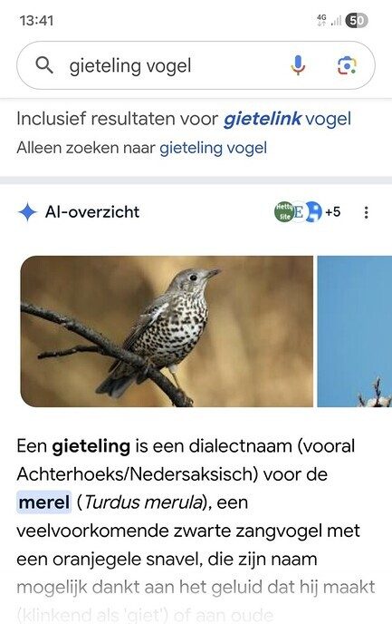 Merel - Foto: Gruune Jopie