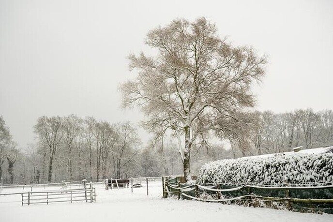 Een nieuwe serie sneeuwfoto’s (2), het aanbod is groot - Foto: Ingezonden foto