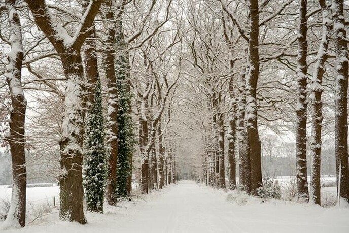 Een nieuwe serie sneeuwfoto’s (2), het aanbod is groot - Foto: Ingezonden foto