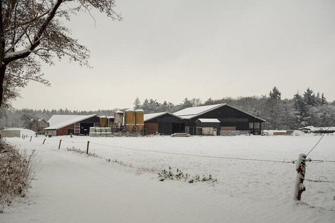 Een nieuwe serie sneeuwfoto’s (2), het aanbod is groot - Foto: Ingezonden foto