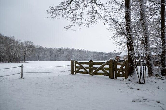 Een nieuwe serie sneeuwfoto’s (2), het aanbod is groot - Foto: Ingezonden foto