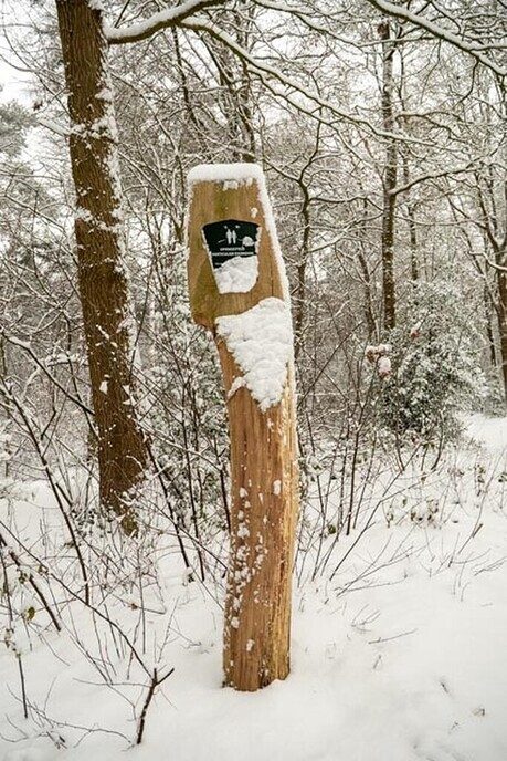 Een nieuwe serie sneeuwfoto’s (2), het aanbod is groot - Foto: Ingezonden foto