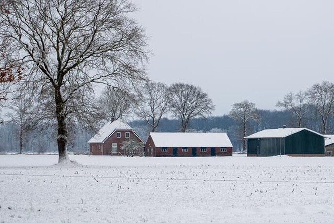 Een nieuwe serie sneeuwfoto’s (2), het aanbod is groot - Foto: Ingezonden foto