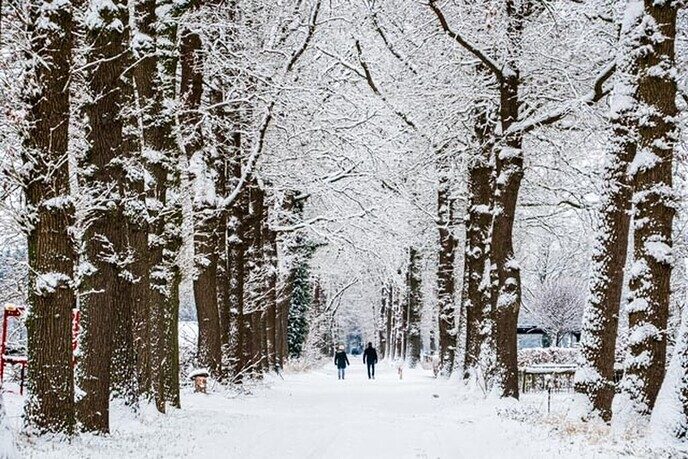 Een nieuwe serie sneeuwfoto’s (2), het aanbod is groot - Foto: Ingezonden foto