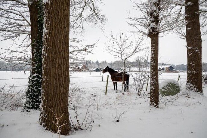 Een nieuwe serie sneeuwfoto’s (2), het aanbod is groot - Foto: Ingezonden foto