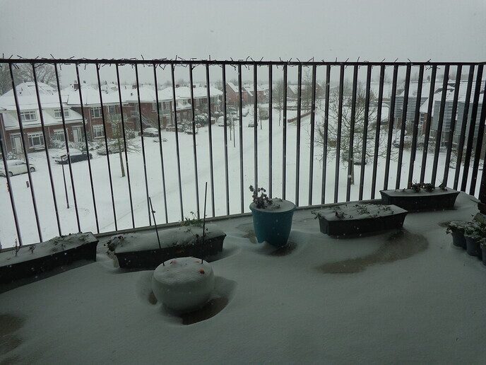 Foto’s sneeuw Dag 3 woensdag en Map 1
