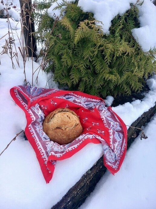 Vers brood, boerderijwinkel, struiken, bomen en meer - Foto: Ingezonden foto