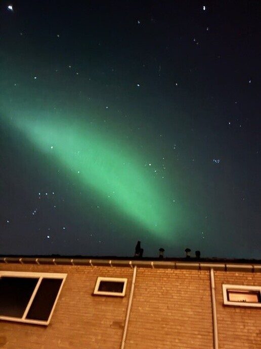 Northern Light (5, 6 ,7 en 8) - Foto: Ingezonden foto