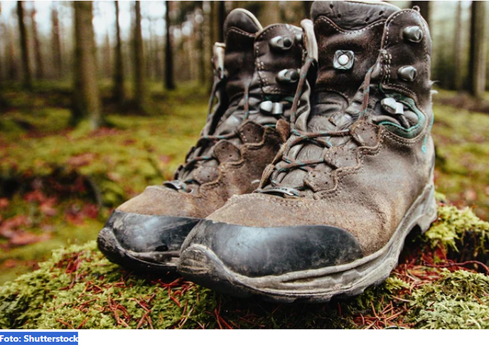 Wandelsport in Zwolle doet ook Dalfsen weer aan