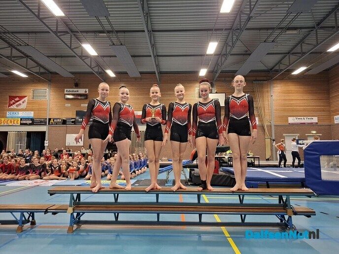 4 x goud voor turnsters GVN - Foto: Ingezonden foto