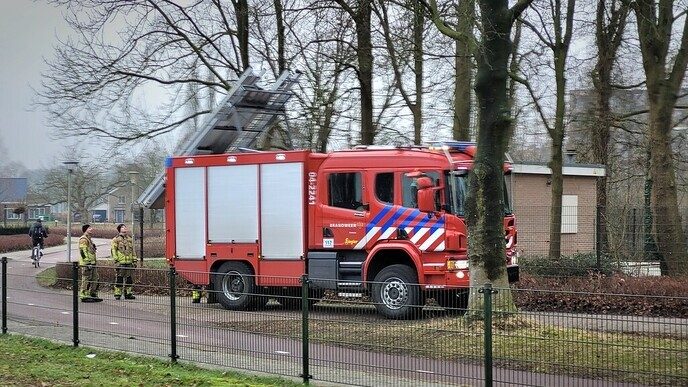 Ommer poes laat zich vangen - Foto: Niels Jansen
