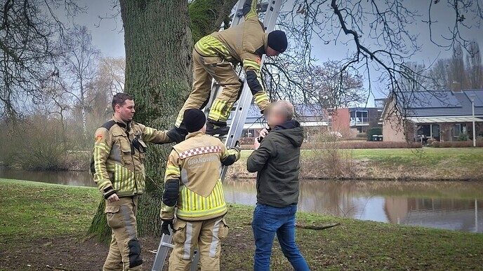 Ommer poes laat zich vangen - Foto: Niels Jansen