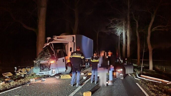 Vrachtwagen tegen boom Poppenallee - Foto: Niels Jansen