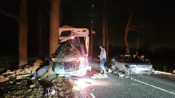 Vrachtwagen tegen boom Poppenallee - Foto: Niels Jansen