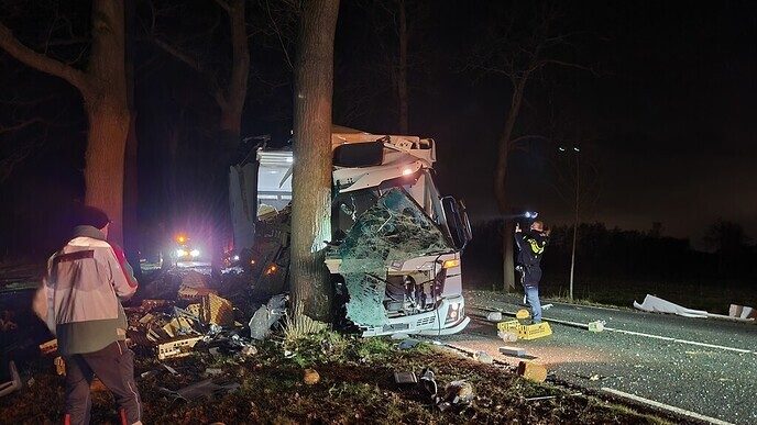 Vrachtwagen tegen boom Poppenallee - Foto: Niels Jansen