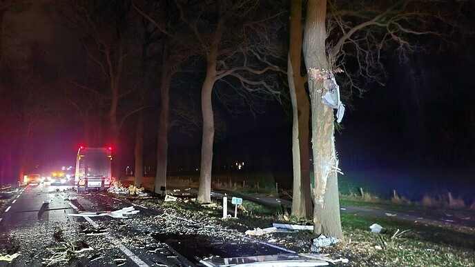 Vrachtwagen tegen boom Poppenallee - Foto: Niels Jansen