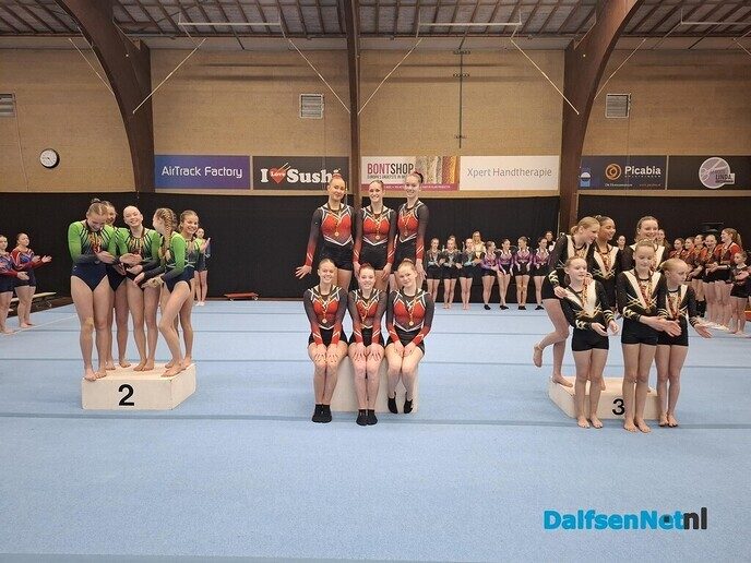 Nieuws van de Gymnastiek Vereniging Nieuwleusen - Foto: Ingezonden foto