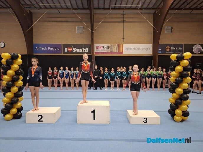 Nieuws van de Gymnastiek Vereniging Nieuwleusen - Foto: Ingezonden foto