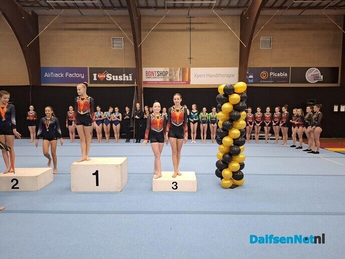 Nieuws van de Gymnastiek Vereniging Nieuwleusen - Foto: Ingezonden foto