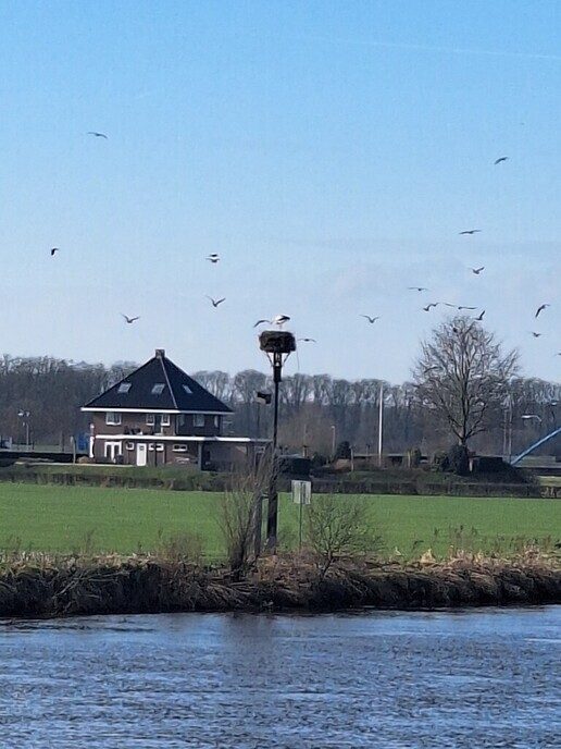 Ze is weer thuis - Foto: Ingezonden foto