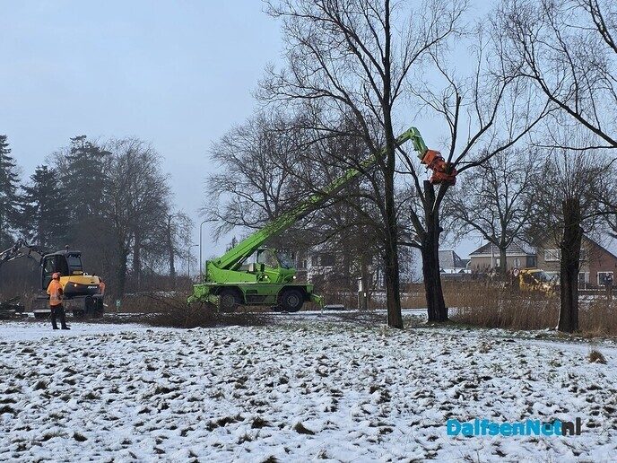 Sneeuw, wilg een kopje kleiner maken en meer.. - Foto: Jennie Kanis