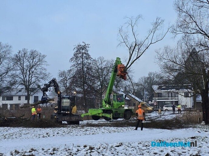 Sneeuw, wilg een kopje kleiner maken en meer.. - Foto: Jennie Kanis
