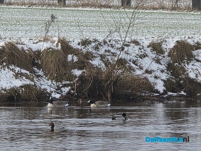 Sneeuw, wilg een kopje kleiner maken en meer.. - Foto: Jennie Kanis