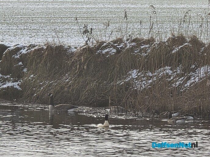 Sneeuw, wilg een kopje kleiner maken en meer.. - Foto: Jennie Kanis