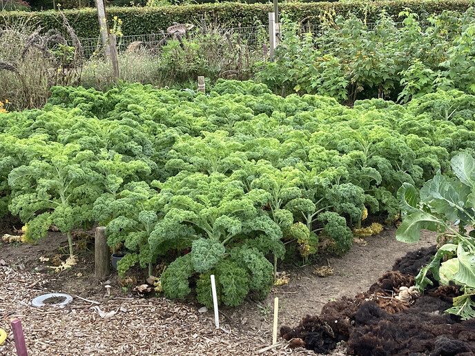 Nieuws van de Natuurboerderij - Foto: Ingezonden foto