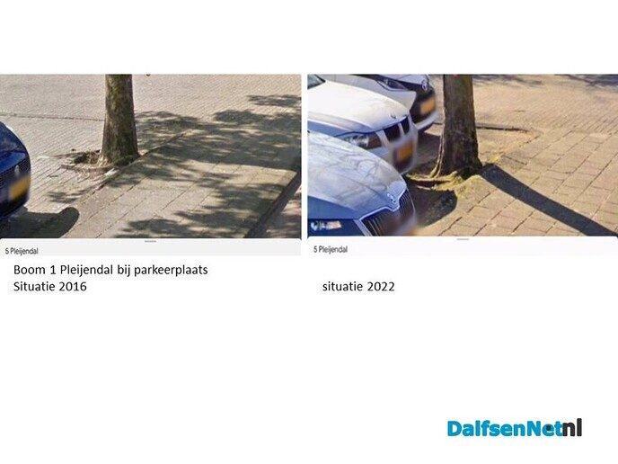Vrienden van Dalfsen tegen kap platanen RK Kerk - Foto: Ingezonden foto