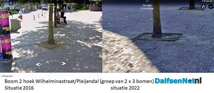 Vrienden van Dalfsen tegen kap platanen RK Kerk - Foto: Ingezonden foto