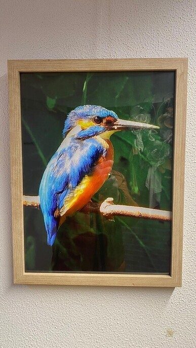 Expositie in ‘de Olmen’ Nieuwleusen - Foto: Ingezonden foto