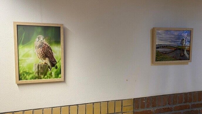 Expositie in ‘de Olmen’ Nieuwleusen - Foto: Ingezonden foto